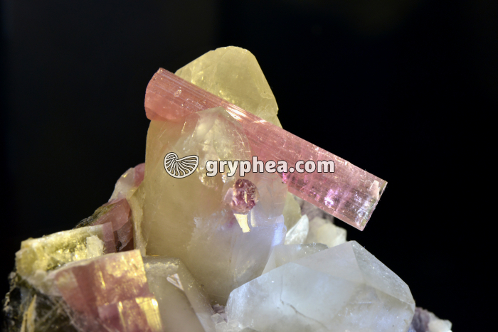 Elbaïte et quartz (Mesa Grande, Californie, USA) - gryphea.com